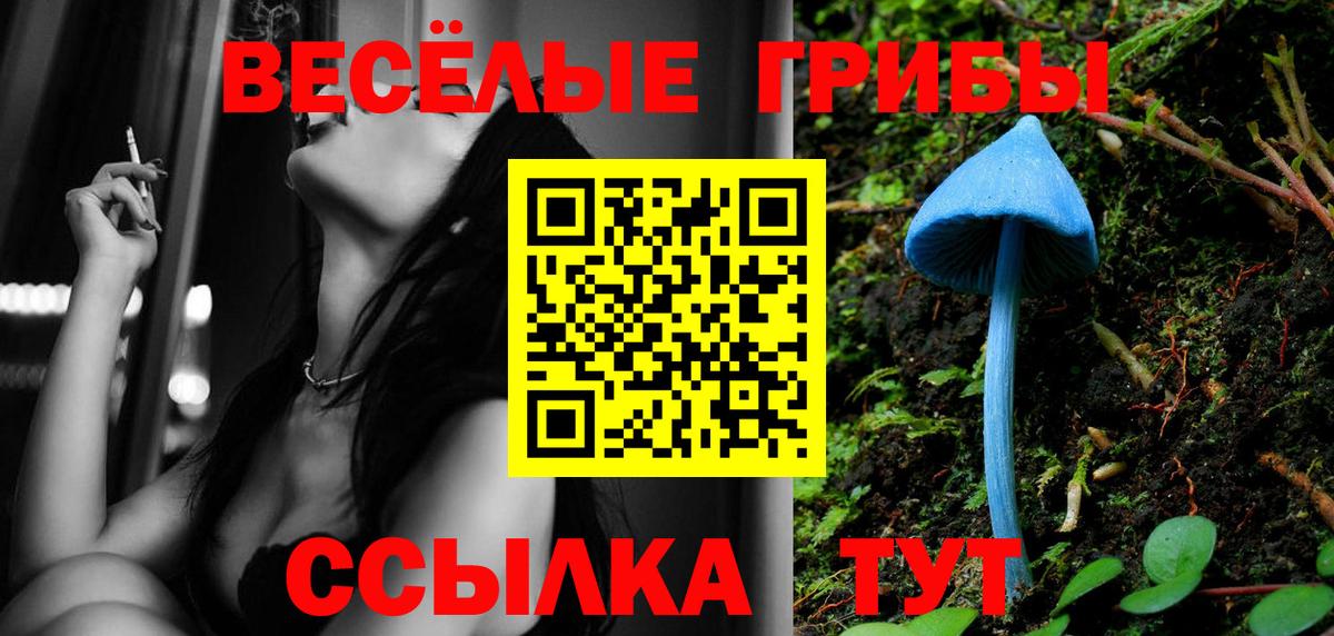 Галлюциногенные грибы MAGIC MUSHROOMS Мыски
