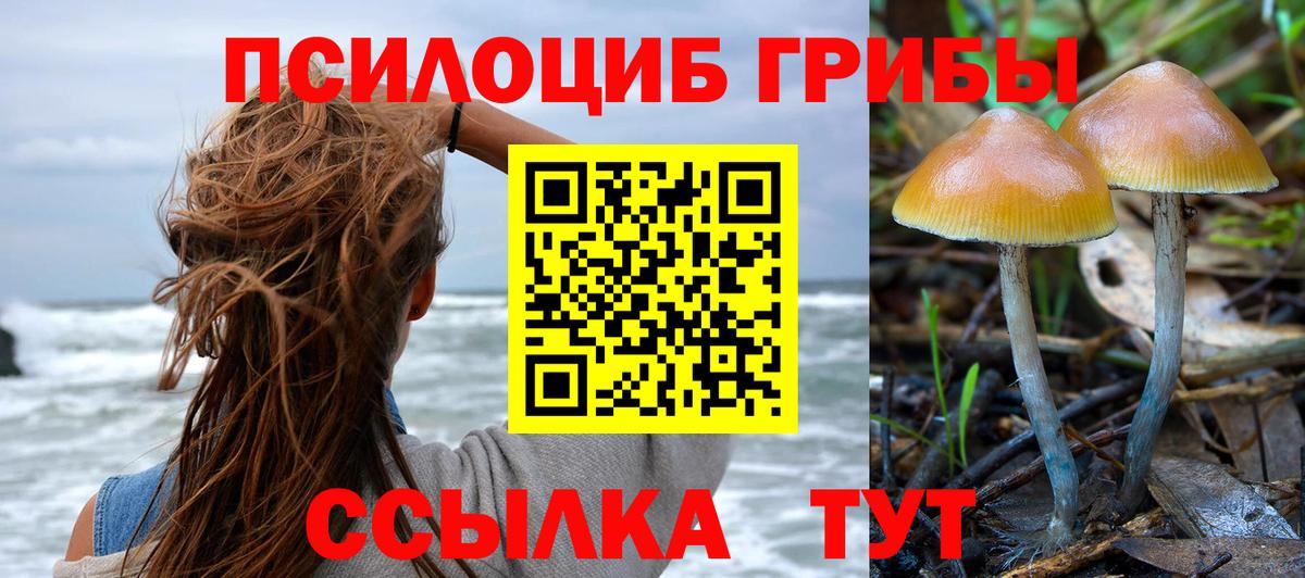 Галлюциногенные грибы GOLDEN TEACHER  Вход с VPN  Мыски 